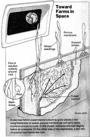 NASA plant plans